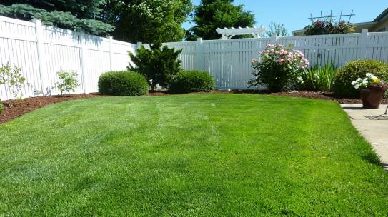 Using mulch to tidy up your yard